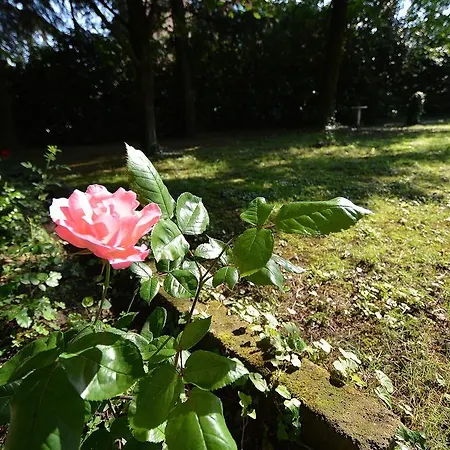 Villa Venice Mainland Priv Garden 9pax Wifi Bike Mestre