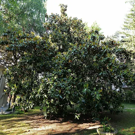 Villa Venice Mainland Priv Garden 9pax Wifi Bike Mestre